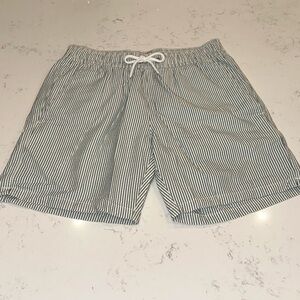 J. Crew Teal and White Striped Seersucker Swim Trunks